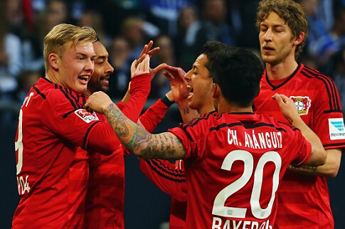 职业生涯 职业生涯