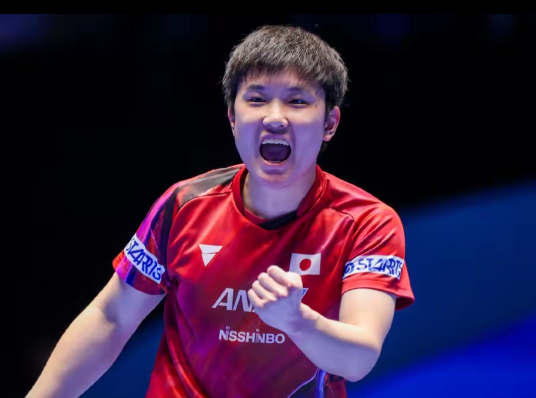 洞抓下小鸟 洞抓下小鸟