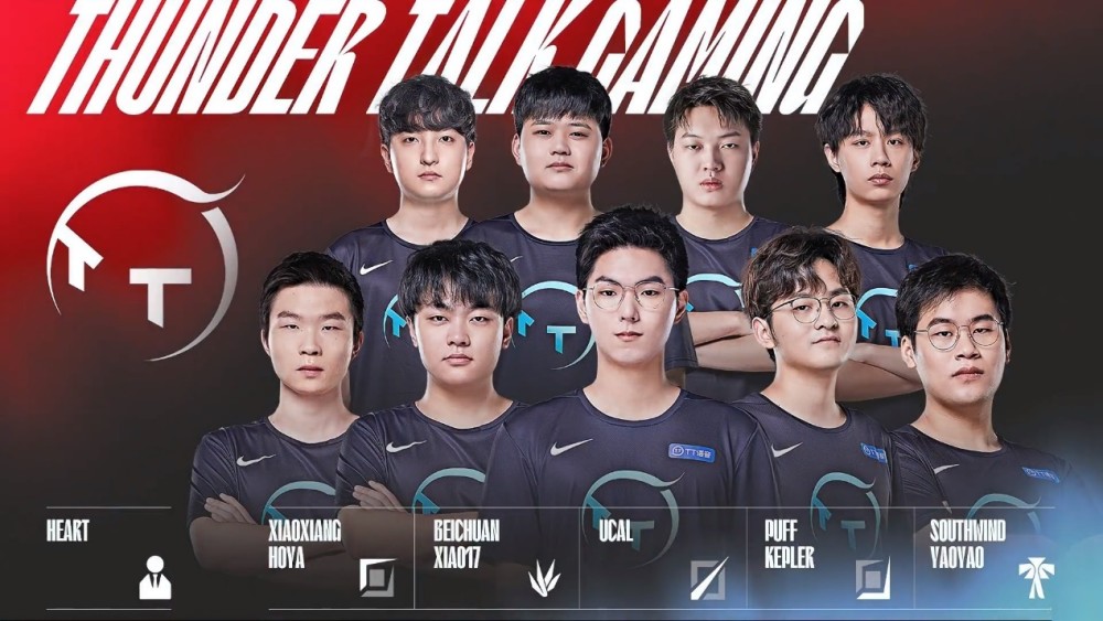 他们不仅在 他们不仅在